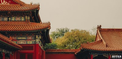 【為中國添色】華夏千年的美藏那一顰一色里 （下-專業(yè)組）