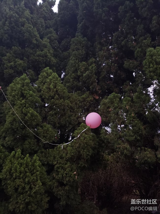 極簡(jiǎn)風(fēng)+創(chuàng)意照片，這回真的會(huì)拍了 —Galaxy Note9