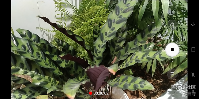 一只手搞定 Galaxy A6s 相機錄制視頻有絕招