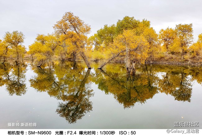 【蓋樂世影像】決賽入圍名單