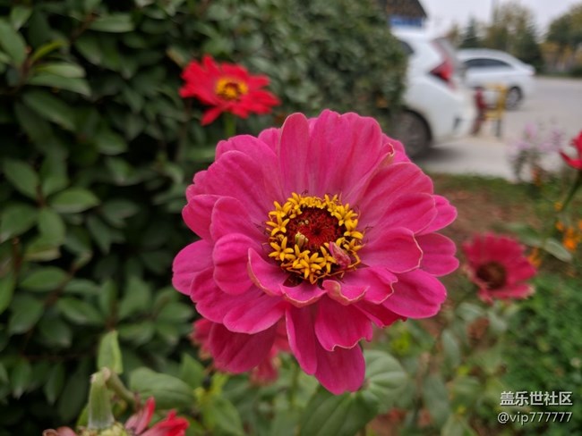 隨手拍-谷歌原生攝像APP