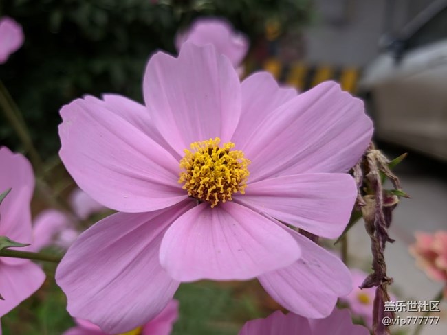 隨手拍-谷歌原生攝像APP