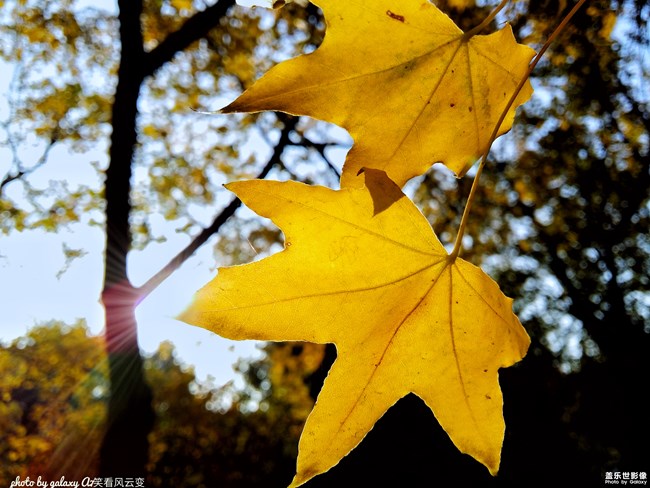 【123期：Galaxy S9 | S+冰藍(lán)色 W2019正式發(fā)售】