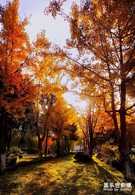 【百變天氣】+久違的陽光和藍(lán)天