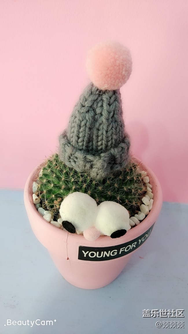 星部落網(wǎng)紅拍攝地活動(dòng)