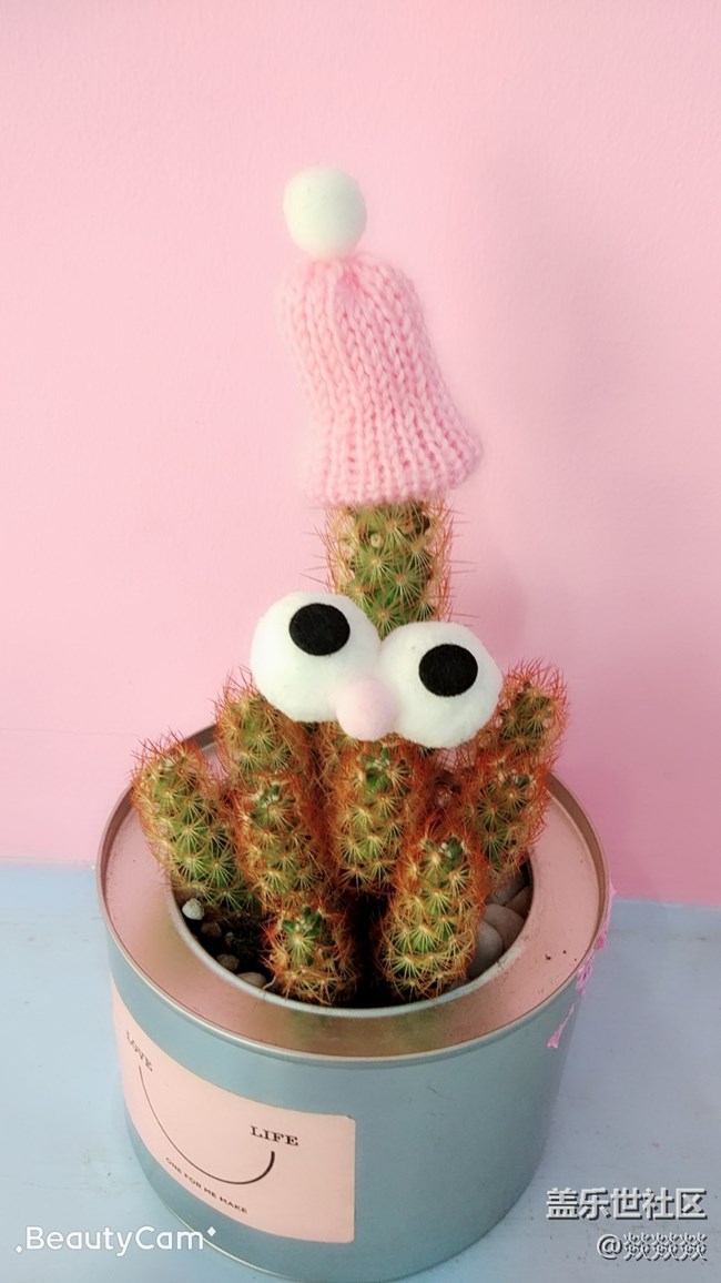 星部落網(wǎng)紅拍攝地活動(dòng)