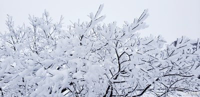 南國(guó)-西嶺雪山