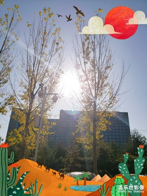 【百變天氣】+艷陽天