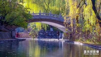 興慶公園 湊夠十個(gè)字