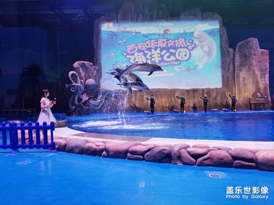 西安華夏海洋公園游覽