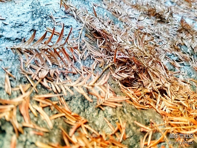 【A9s 一機(jī)走天下】+你所不了解的武隆仙女山 【A9s 一機(jī)走天下】+你所不了解的武隆仙女山