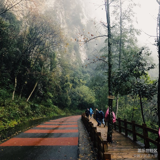 【A9s 一機(jī)走天下】重慶武隆仙女山品鑒之旅 【A9s 一機(jī)走天下】重慶武隆仙女山品鑒之旅