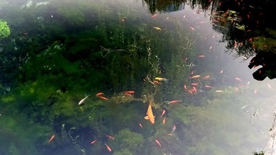 石磐水府色蒼蒼，深處渾如黑虎藏