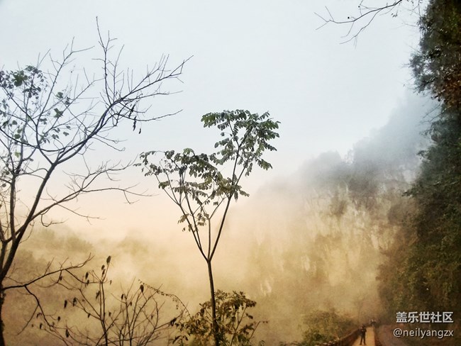 【A9s 一機(jī)走天下】+你所不了解的武隆仙女山 【A9s 一機(jī)走天下】+你所不了解的武隆仙女山