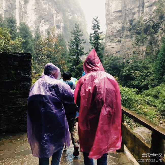 【A9s 一機(jī)走天下】重慶武隆仙女山品鑒之旅 【A9s 一機(jī)走天下】重慶武隆仙女山品鑒之旅