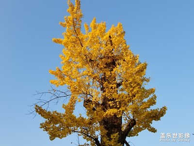 中國色彩-遇見最美