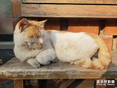 【百變天氣】+大四生活