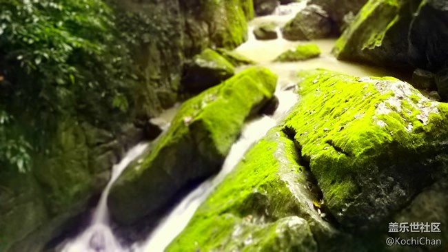 【A9s 一機(jī)走天下】煙雨蒙蒙游武隆 天生三橋云霧中