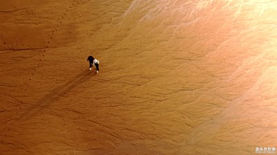 【為中國添色】波光·艷影