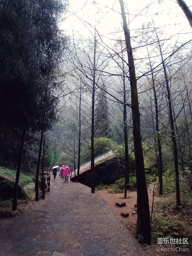 【A9s 一機(jī)走天下】煙雨蒙蒙游武隆 天生三橋云霧中