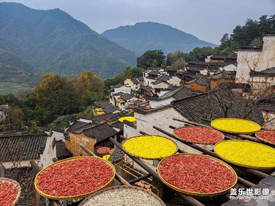 【為中國添色】婺源秋韻(專業(yè)組)