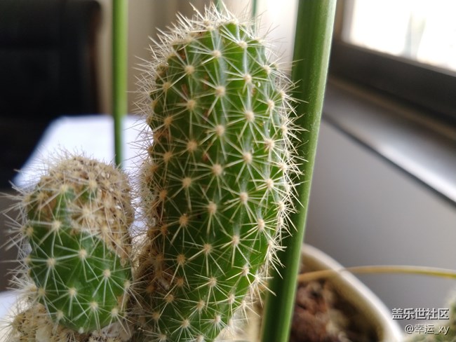 【A6s星粉體驗(yàn)團(tuán)】掌中驚艷，性價(jià)比極高的智能手機(jī)