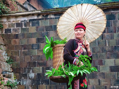 【為中國(guó)添色】 半月里畬族文化