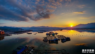 【為中國添色】《大美霞浦，多彩灘涂》