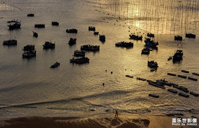 【為中國添色】《中國最美的灘涂、最具有美好的夢想》