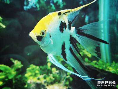 上海動(dòng)物園