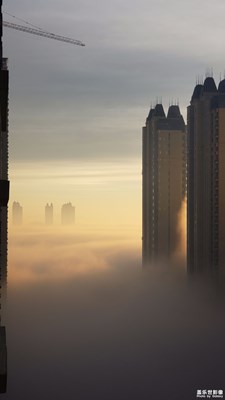 陽臺(tái)上的風(fēng)景