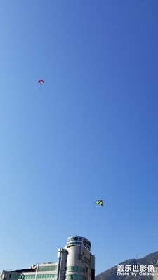 冬日暖陽，風箏爭艷