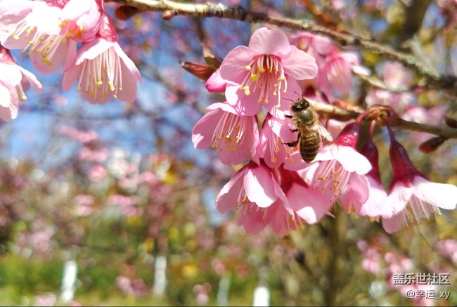 【A6s星粉體驗(yàn)團(tuán)】三星Galaxy A6s拍照體驗(yàn) 【A6s星粉體驗(yàn)團(tuán)】三星Galaxy A6s拍照體驗(yàn)