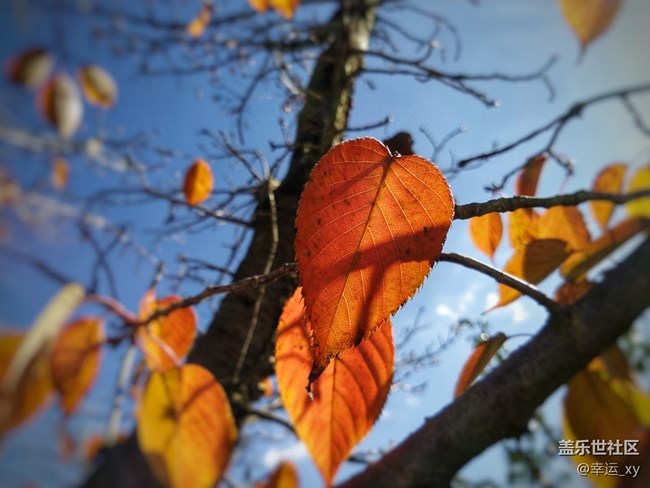 【A6s星粉體驗(yàn)團(tuán)】三星Galaxy A6s拍照體驗(yàn) 【A6s星粉體驗(yàn)團(tuán)】三星Galaxy A6s拍照體驗(yàn)