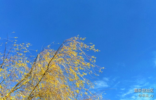 【A6s星粉體驗(yàn)團(tuán)】三星Galaxy A6s拍照體驗(yàn) 【A6s星粉體驗(yàn)團(tuán)】三星Galaxy A6s拍照體驗(yàn)