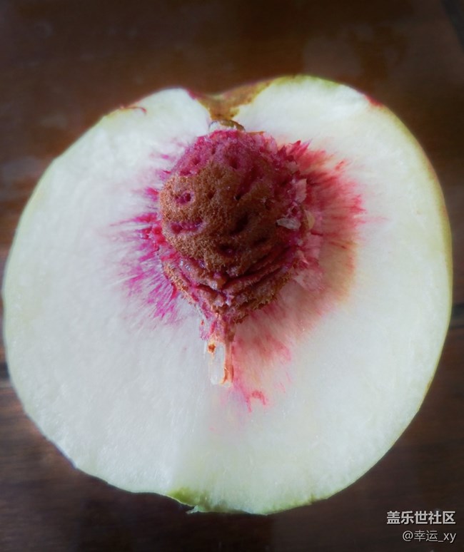 【A6s星粉體驗(yàn)團(tuán)】三星Galaxy A6s拍照體驗(yàn) 【A6s星粉體驗(yàn)團(tuán)】三星Galaxy A6s拍照體驗(yàn)