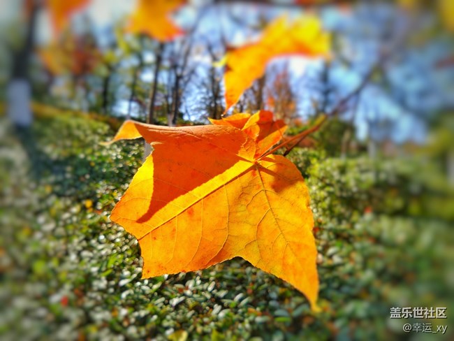 【A6s星粉體驗(yàn)團(tuán)】三星Galaxy A6s拍照體驗(yàn) 【A6s星粉體驗(yàn)團(tuán)】三星Galaxy A6s拍照體驗(yàn)