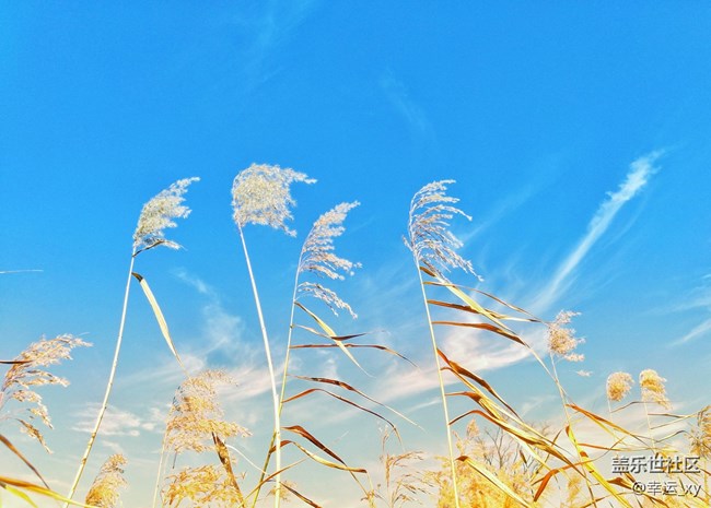 【A6s星粉體驗(yàn)團(tuán)】三星Galaxy A6s拍照體驗(yàn) 【A6s星粉體驗(yàn)團(tuán)】三星Galaxy A6s拍照體驗(yàn)