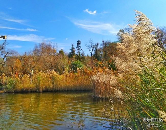 【A6s星粉體驗(yàn)團(tuán)】三星Galaxy A6s拍照體驗(yàn) 【A6s星粉體驗(yàn)團(tuán)】三星Galaxy A6s拍照體驗(yàn)