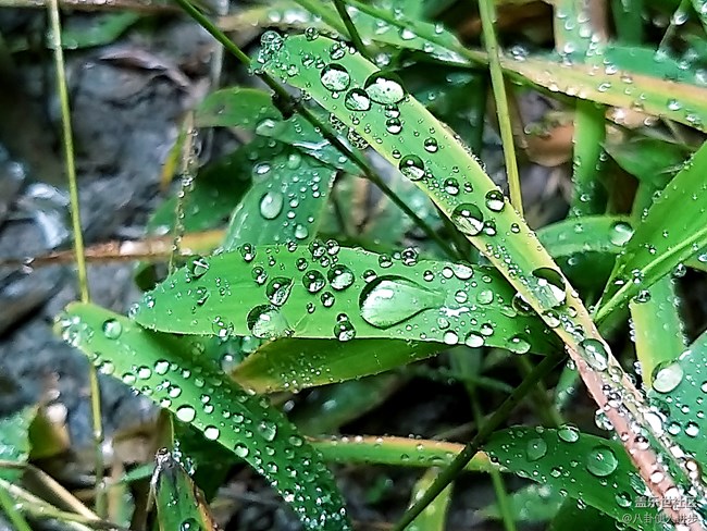 一機走天下 重慶武隆人間仙境大自然的饋贈 一機走天下 重慶武隆人間仙境大自然的饋贈