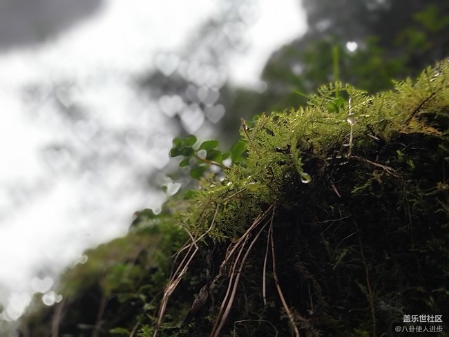 一機走天下 重慶武隆人間仙境大自然的饋贈 一機走天下 重慶武隆人間仙境大自然的饋贈