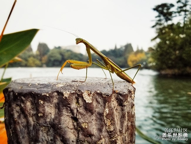 【125期：三星獲30項CES 2019杰出設(shè)計與工程創(chuàng)新獎】