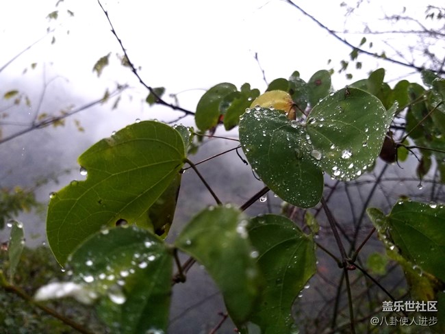 一機走天下 重慶武隆人間仙境大自然的饋贈 一機走天下 重慶武隆人間仙境大自然的饋贈