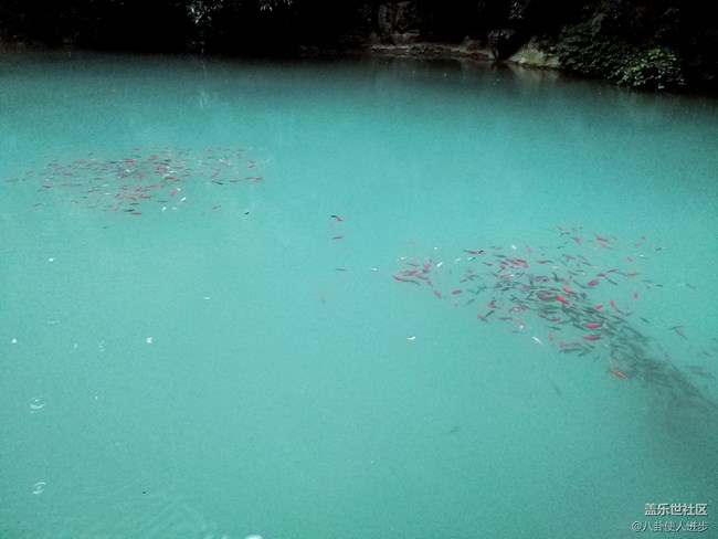 一機走天下 重慶武隆人間仙境大自然的饋贈 一機走天下 重慶武隆人間仙境大自然的饋贈