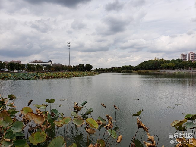 【Galaxy Note版每周話題第五周】鏡頭下的秋冬影像 【Galaxy Note版每周話題第五周】鏡頭下的秋冬影像