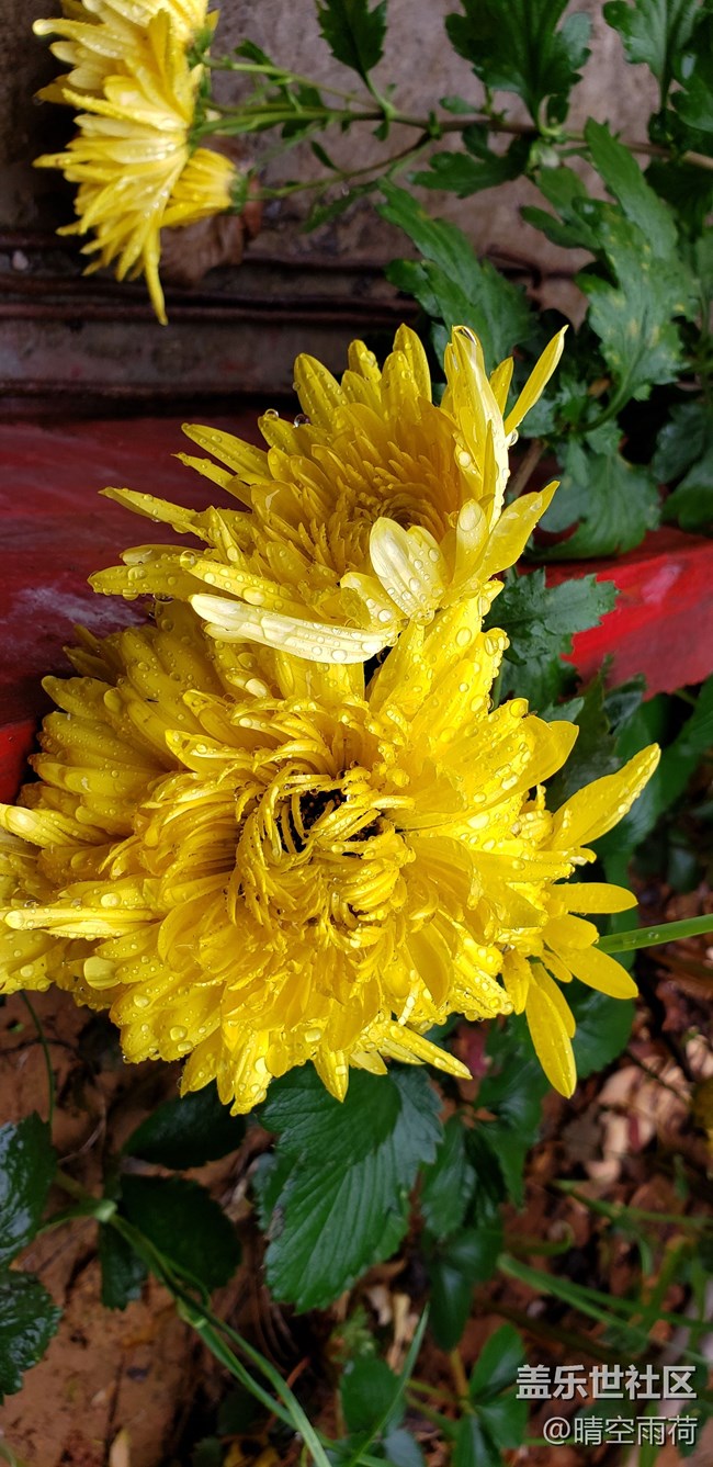 note9的拍照效果怎么樣，這里可以提現(xiàn)