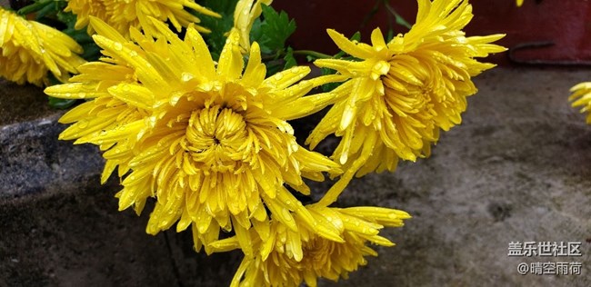 note9的拍照效果怎么樣，這里可以提現(xiàn)