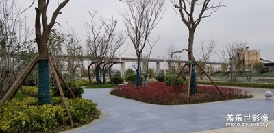 【緯度的色彩】+秦淮河初冬