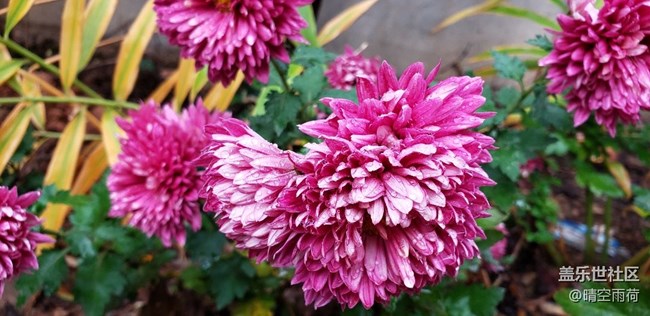 note9的拍照效果怎么樣，這里可以提現(xiàn)