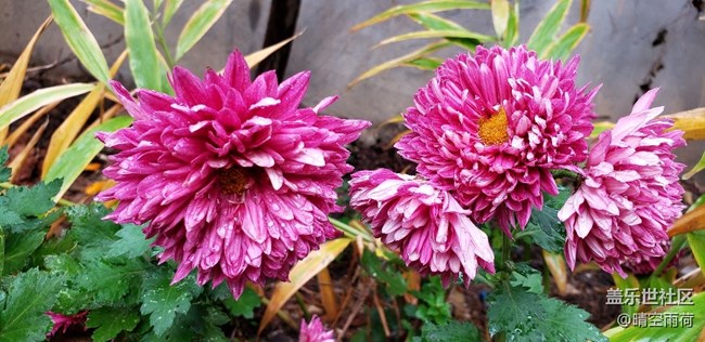 note9的拍照效果怎么樣，這里可以提現(xiàn)